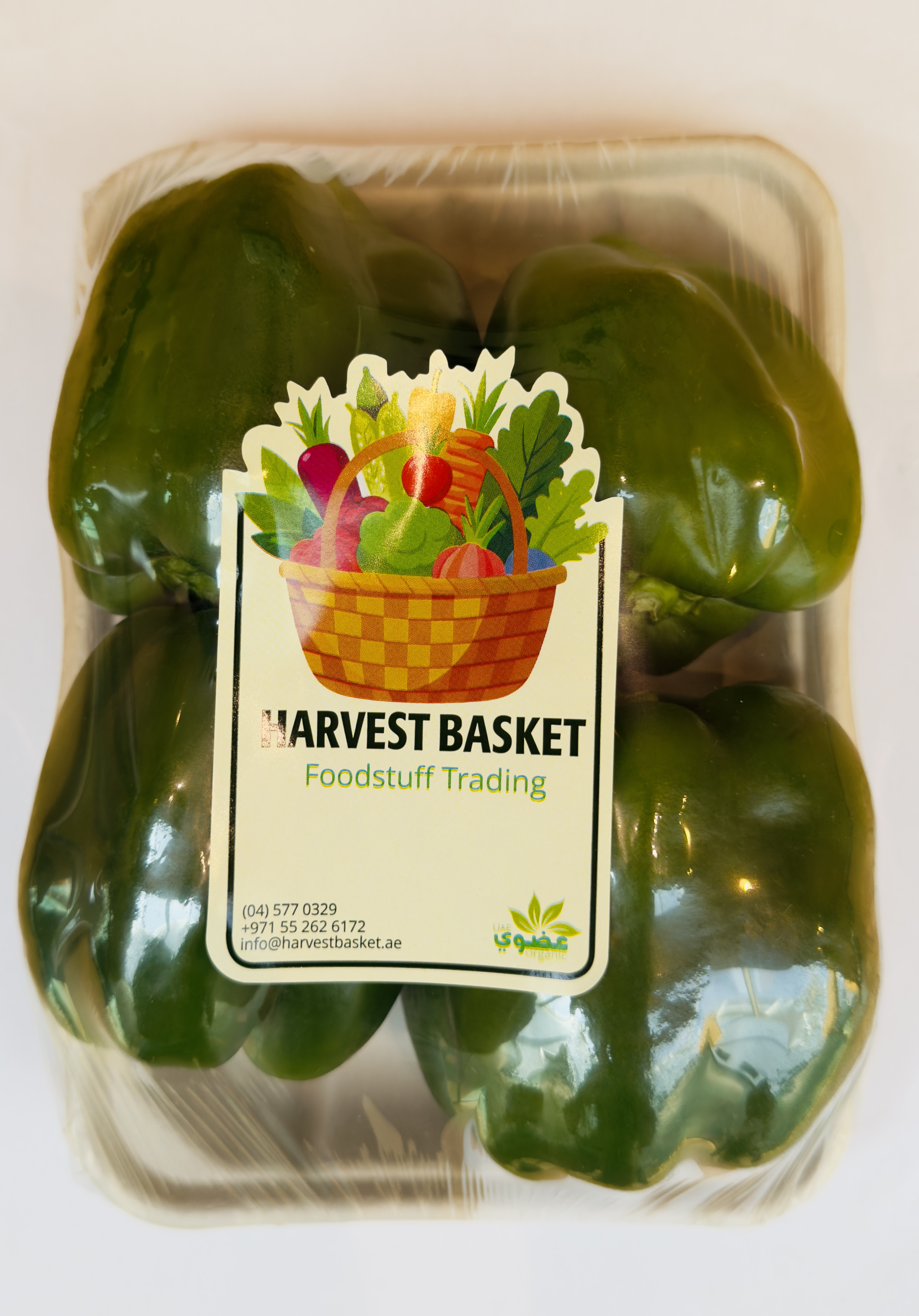 CAPSICUM GREEN🇦🇪